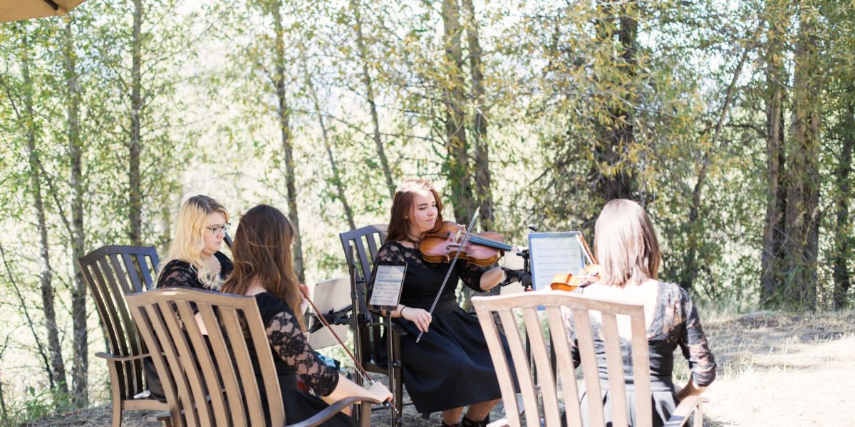 string_quartet A string quartet plays music in the trees